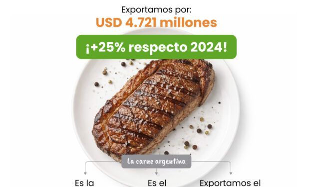 Exportaciones agroindustriales argentinas: 75% del mundo elige nuestros productos