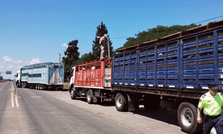 Alerta sanitaria ganadera: detectan garrapatas en transporte