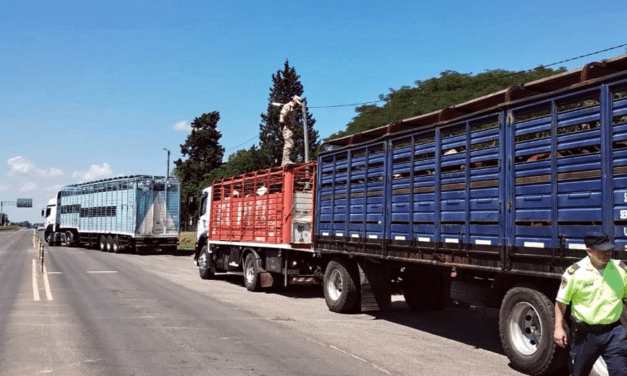 Alerta sanitaria ganadera: detectan garrapatas en transporte