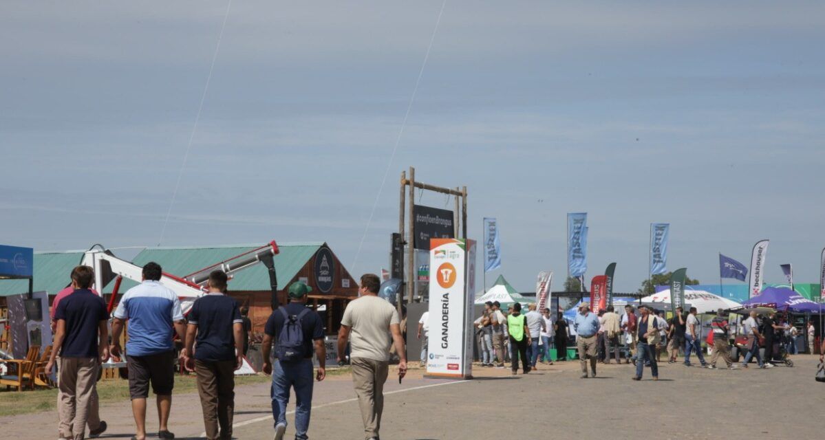 Razas bovinas impulsan el boom ganadero en Expoagro