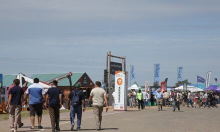 Razas bovinas impulsan el boom ganadero en Expoagro