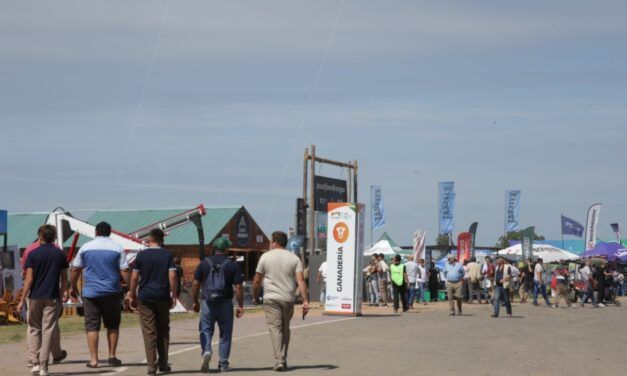 Razas bovinas impulsan el boom ganadero en Expoagro