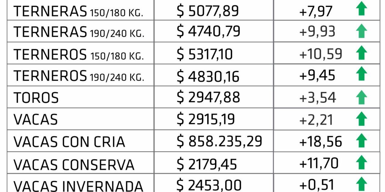 Firmeza en el mercado: los remates ganaderos de enero reflejaron un alza del 10,17 %