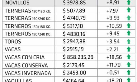 Firmeza en el mercado: los remates ganaderos de enero reflejaron un alza del 10,17 %