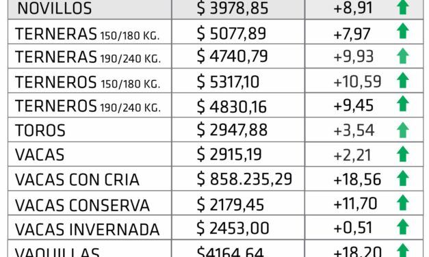 Firmeza en el mercado: los remates ganaderos de enero reflejaron un alza del 10,17 %