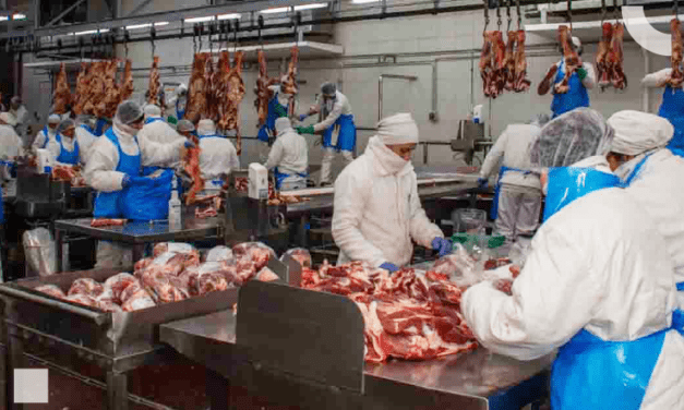 Córdoba exporta carne refrigerada a Portugal por vía aérea