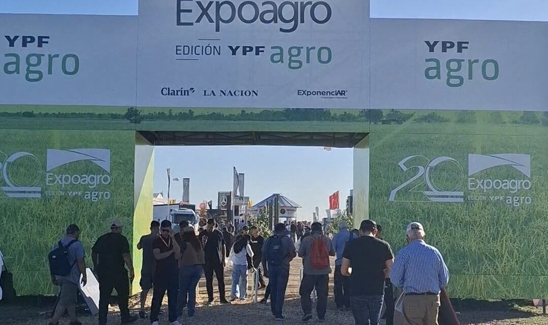 Vignatti: “El financiamiento es la clave para sostener el crecimiento del agro”