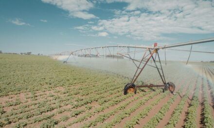 Córdoba impulsa IVA diferenciado para el riego agropecuario