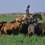 Cómo retener personal comprometido en el campo