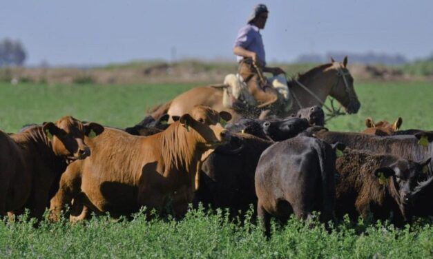 Cómo retener personal comprometido en el campo