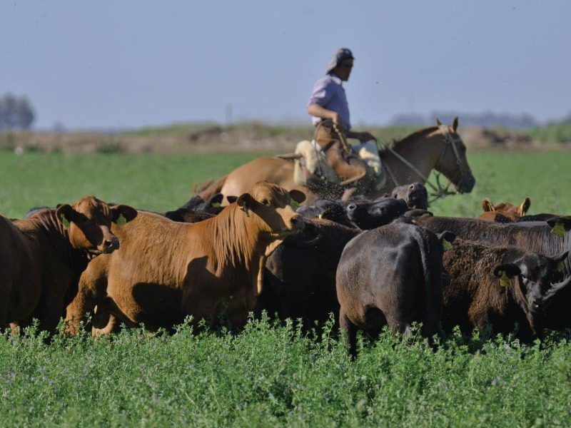 Cómo retener personal comprometido en el campo