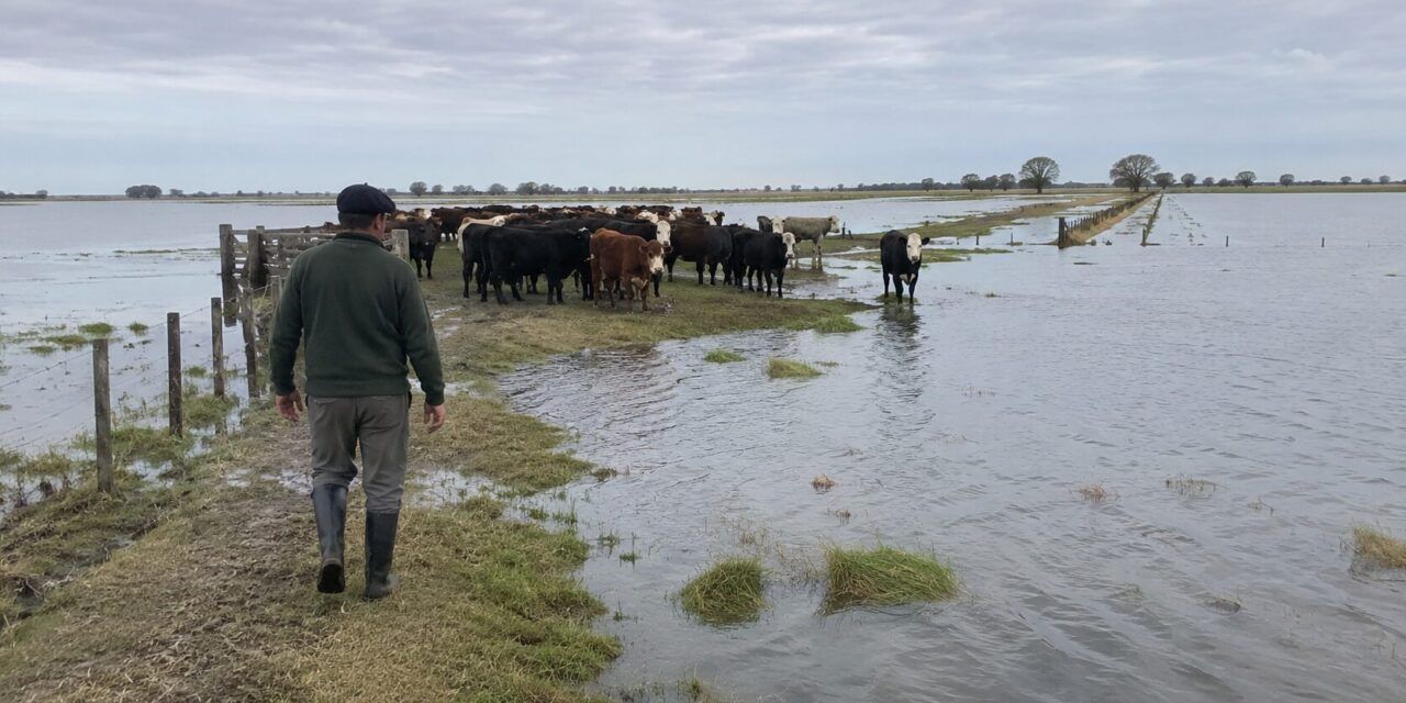 Emergencia agropecuaria en Santa Fe por inundaciones