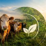 Santa Fe certifica gratis el libre de deforestación