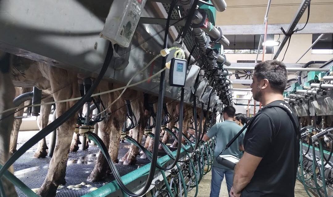 La actualización tecnológica en la lechería gana protagonismo
