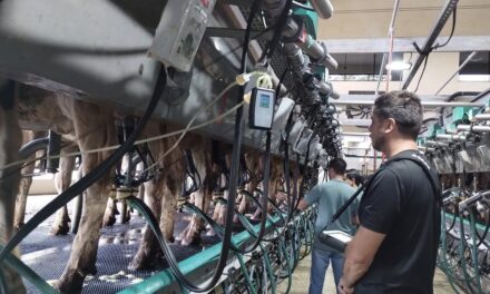 La actualización tecnológica en la lechería gana protagonismo