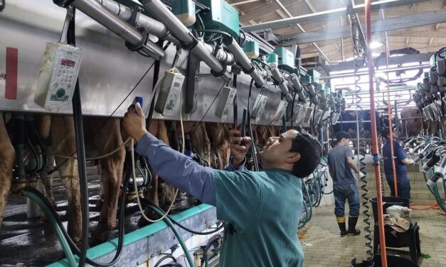 Capacitación y tecnología en los tambos para ganar eficiencia