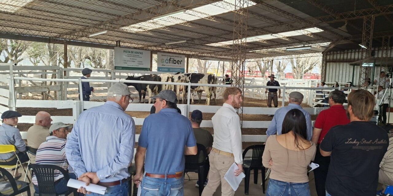 La Lehmann transita un agosto de intensa actividad ganadera
