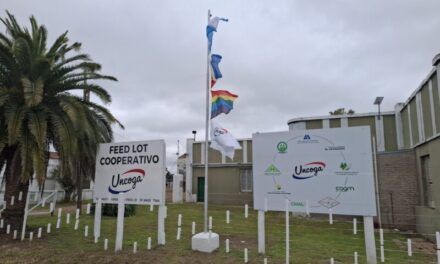 UNCOGA apuesta por la carne Holando y fortalece su integración