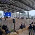 San Justo se consolida como polo ganadero y proyecta una nueva etapa de crecimiento