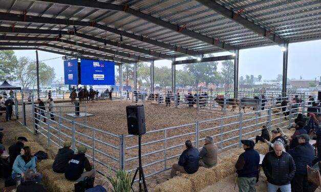 San Justo se consolida como polo ganadero y proyecta una nueva etapa de crecimiento
