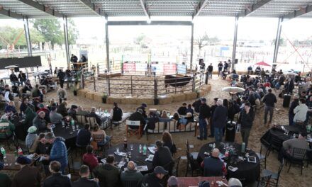 El 7º Gran Remate Los Charabones y Don Pedro volvió a ratificar el valor de la genética en San Justo