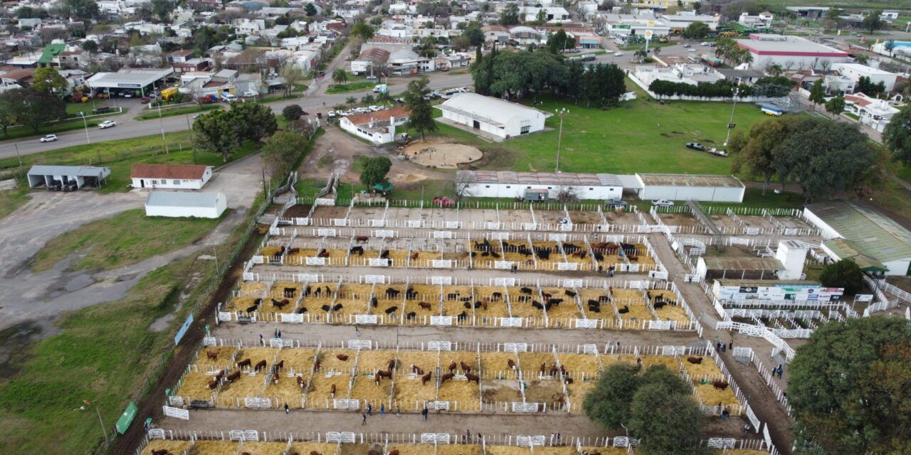 Expo Rural San Justo: más de 300 reproductores y nuevas instalaciones
