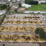 Expo Rural San Justo: más de 300 reproductores y nuevas instalaciones