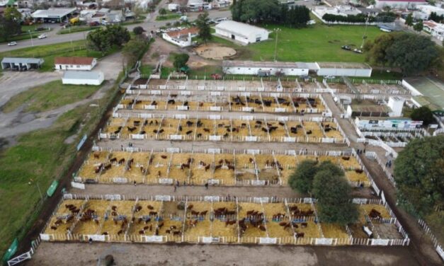Expo Rural San Justo: más de 300 reproductores y nuevas instalaciones