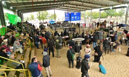 Rigran destacó la calidad genética y el crecimiento de la Expo Rural de San Justo