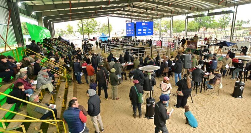 Rigran destacó la calidad genética y el crecimiento de la Expo Rural de San Justo