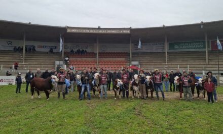 Facundo Grosso: “La genética Braford mejora el negocio ganadero”